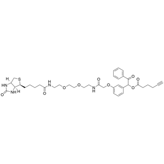 UV Cleavable Biotin-PEG2-Alkyne
