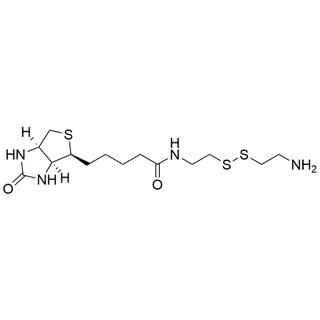 Biotinyl cystamine