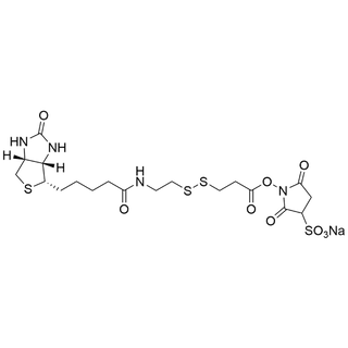 Sulfo-NHS-SS-Biotin sodium