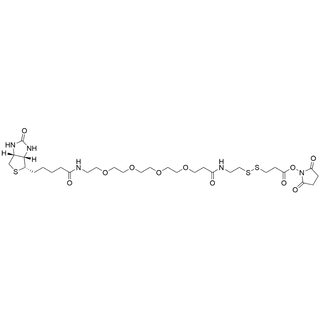 Biotin-PEG4-SS-NHS