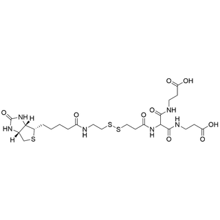 Biotin-SS-Ama-Bis(beta-Ala)