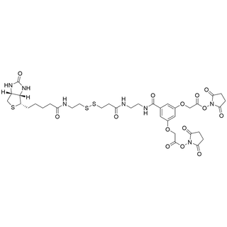 Biotin-SS-EDA-(5-CPBDA-NHS)