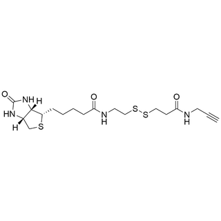 Biotin-SS-Proparylamide