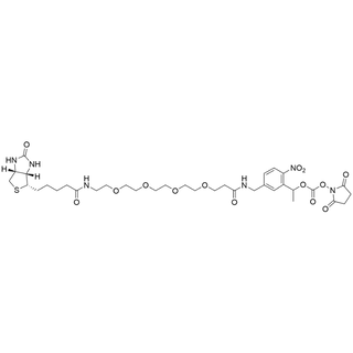 Biotin-PEG4-(CONH-PC)-NHS carbonate