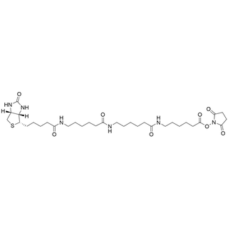 Biotin-LC-LC-LC-NHS ester