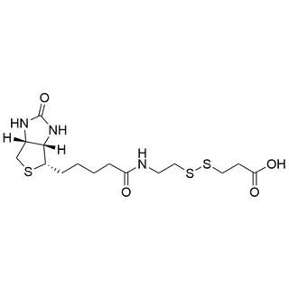 Biotin-SS-COOH