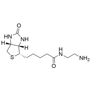 Biotin-EDA