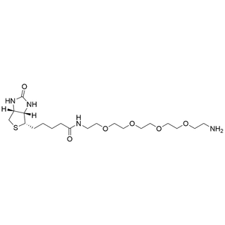 Biotin-PEG4-Amine