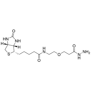 Biotin-PEG1-hydrazide