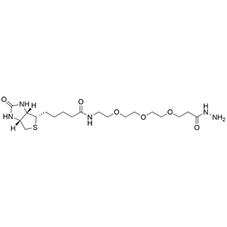 Biotin-PEG3-hydrazide
