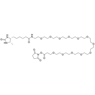 Desthiobiotin-PEG12-NHS ester