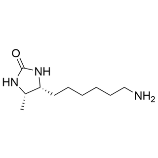 Desthiobiotin-Amine