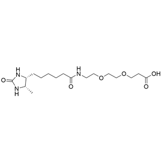 Desthiobiotin-PEG2-Acid