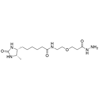 Desthiobiotin-PEG1-Hydrazide