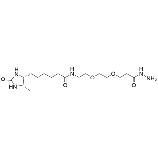 Desthiobiotin-PEG2-Hydrazide