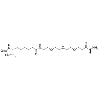 Desthiobiotin-PEG3-Hydrazide