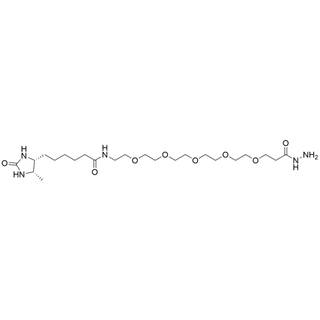 Desthiobiotin-PEG5-Hydrazide