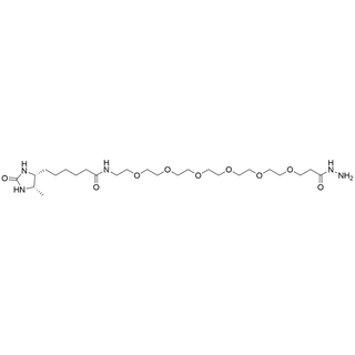 Desthiobiotin-PEG6-Hydrazide