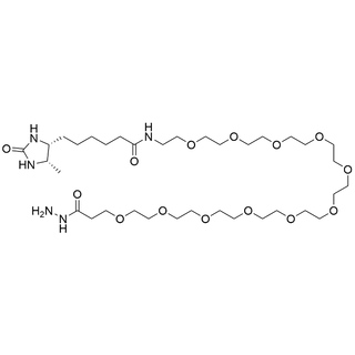 Desthiobiotin-PEG11-Hydrazide