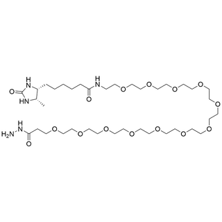 Desthiobiotin-PEG12-Hydrazide