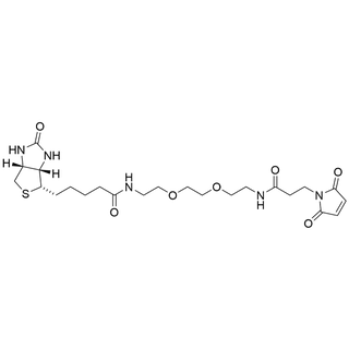 Amido-Mal-PEG2-Biotin