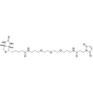 Amido-Mal-PEG3-C3-NH-Biotin