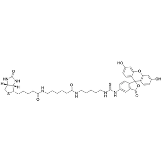 Fluorescein biotin