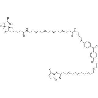 UV-Tracer Biotin NHS Ester