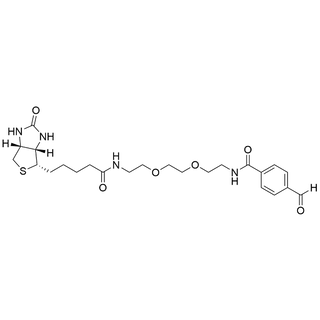 Biotin-PEG2-CBA