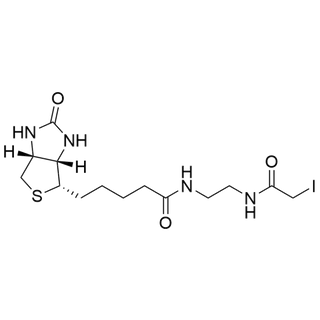 Biotin-EDA-Iodoacetamide