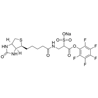Biotin-Sulfo-PFP Ester