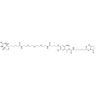 PC Biotin-PEG3-Aha-NHS ester