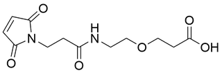Amido Mal-PEG1-Acid
