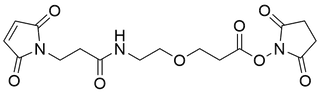 Amido Mal-PEG1-NHS Ester