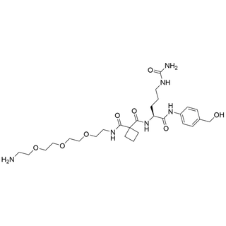 Amine-PEG3-Amide-cBut-Cit-PAB