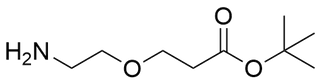 Amino-PEG1-t-Bu Ester