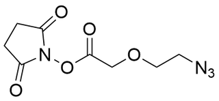 Azido-PEG1-CH2COOH NHS Ester