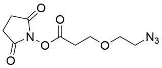 Azido-PEG1-NHS Ester