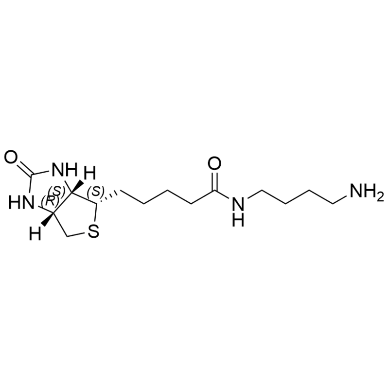 Biotin-C4-amide-C5-NH2