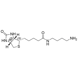 Biotin-C4-amide-C5-NH2