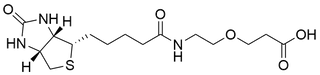 Biotin-PEG1-Acid