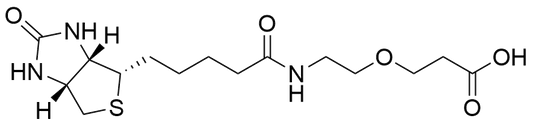 Biotin-PEG1-Acid