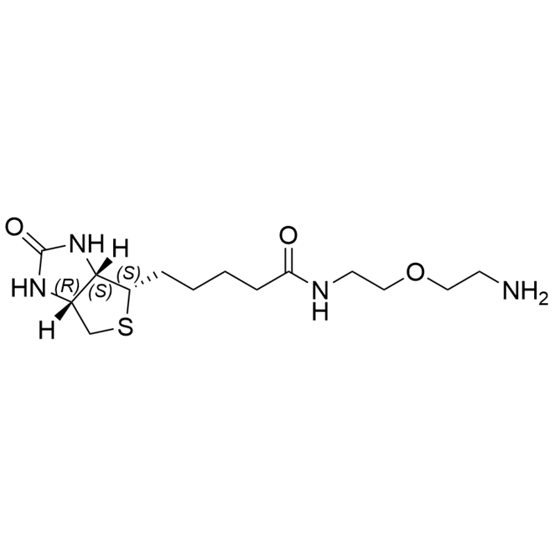 Biotin-PEG1-Amine