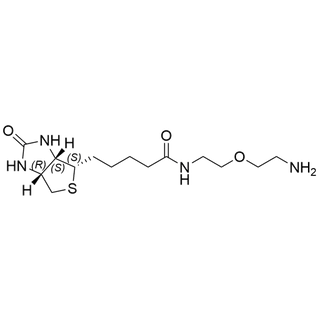 Biotin-PEG1-Amine