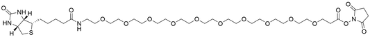 Biotin-PEG10-NHS Ester