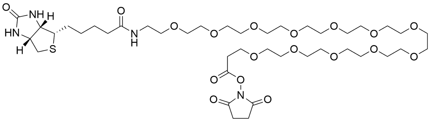 Biotin-PEG12-NHS Ester