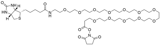 Biotin-PEG12-NHS Ester