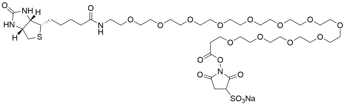 Biotin-PEG12-Sulfo NHS Ester