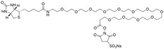 Biotin-PEG12-Sulfo NHS Ester