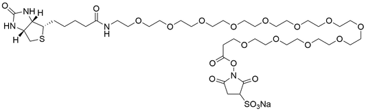 Biotin-PEG12-Sulfo NHS Ester